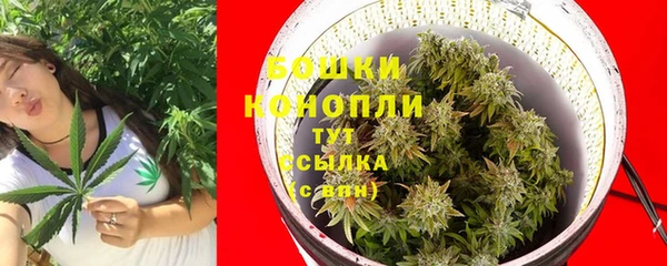 индика Пролетарск