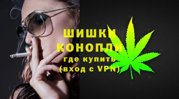 индика Пролетарск